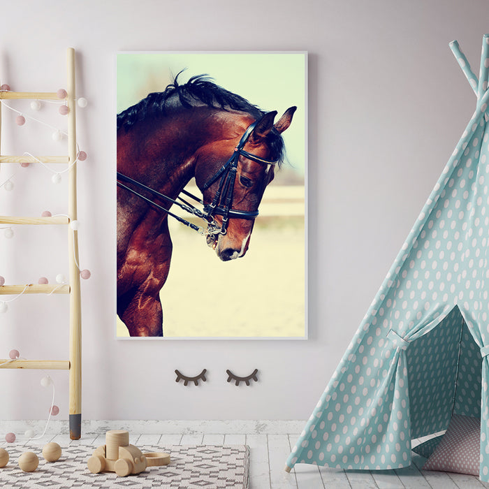 Graceful Haltered Horse - Canvas Wall Art Painting