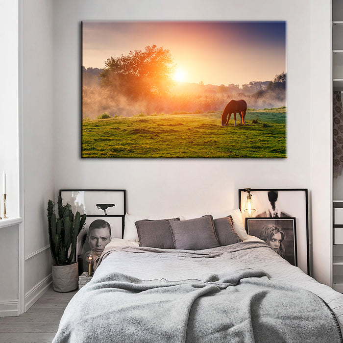Sunrise Grazing Horse - Canvas Wall Art Painting