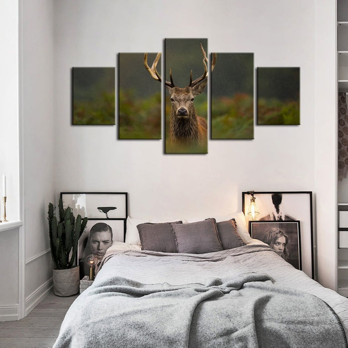 5 Piece Curios Deer Amongst Ferns - Canvas Wall Art Painting