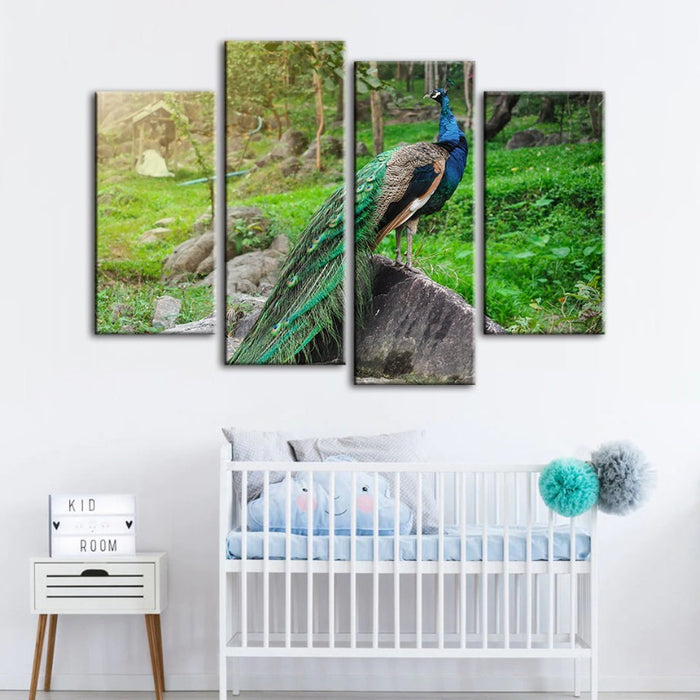 4 Piece Dignified Sunlit Peacock - Canvas Wall Art Painting