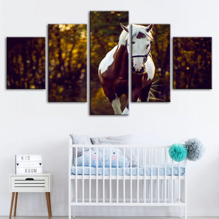 5 Piece Courtly Overo Horse - Canvas Wall Art Painting