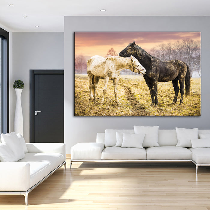 Black & White Horses - Canvas Wall Art Painting