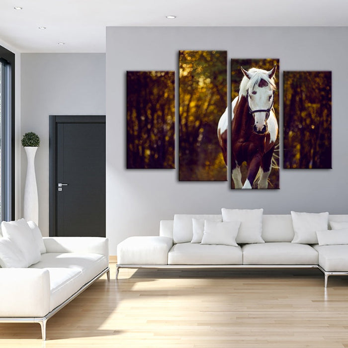 4 Piece Courtly Overo Horse - Canvas Wall Art Painting