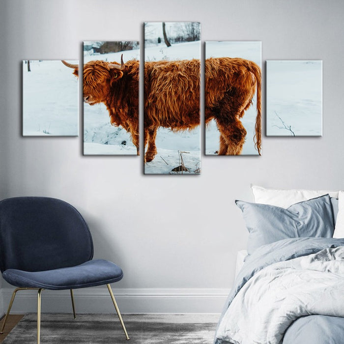 5 Piece Curly Haired Cow - Canvas Wall Art Painting