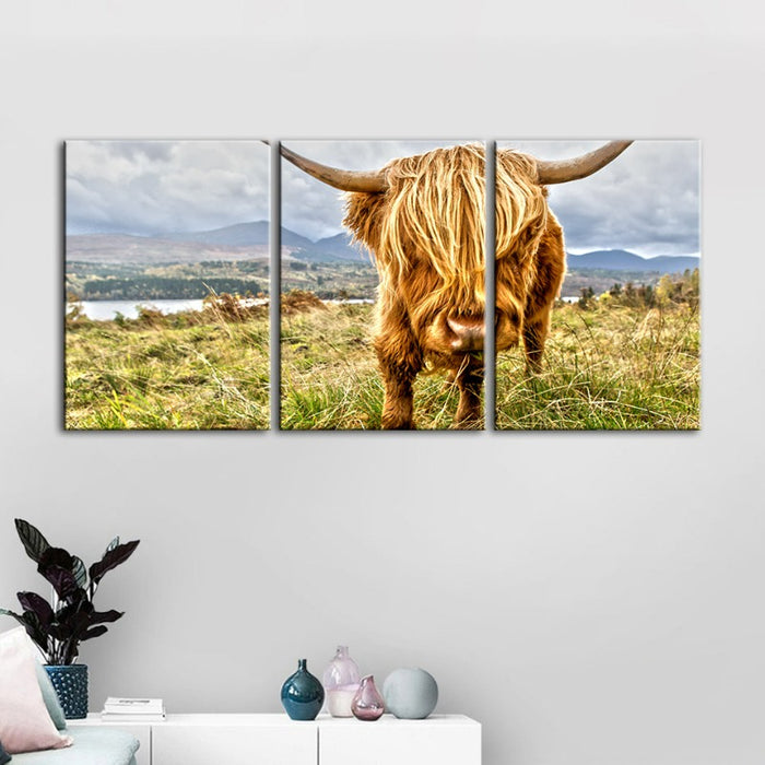 Cute Wild Cow-Canvas Wall Art Painting 3 Pieces