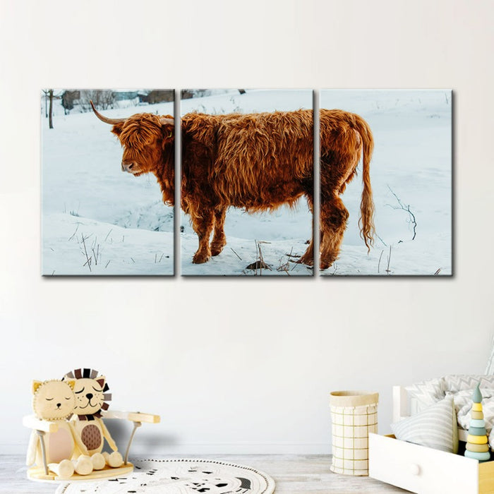 Curly Haired Cow-Canvas Wall Art Painting 3 Pieces
