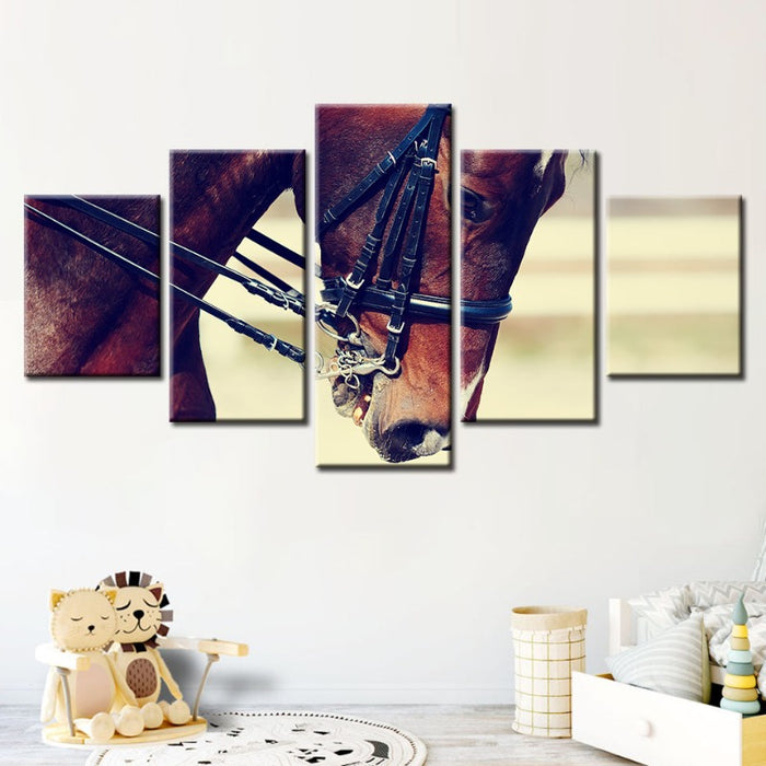 5 Piece Graceful Haltered Horse - Canvas Wall Art Painting