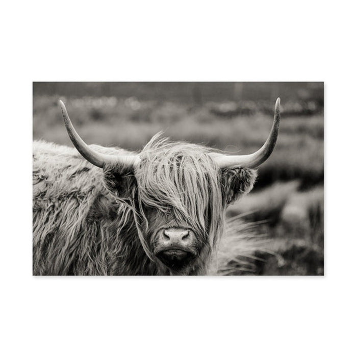 Scottish Highland Catt Cow Yak Animal Poster Wall Art - Canvas Wall Art Painting