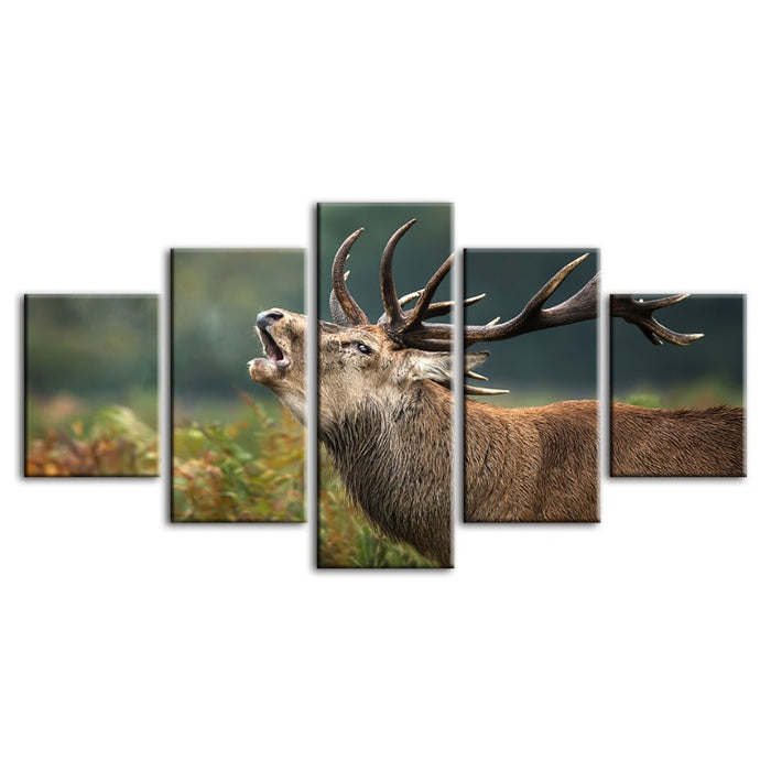 5 Piece Bleating Elk - Canvas Wall Art Painting