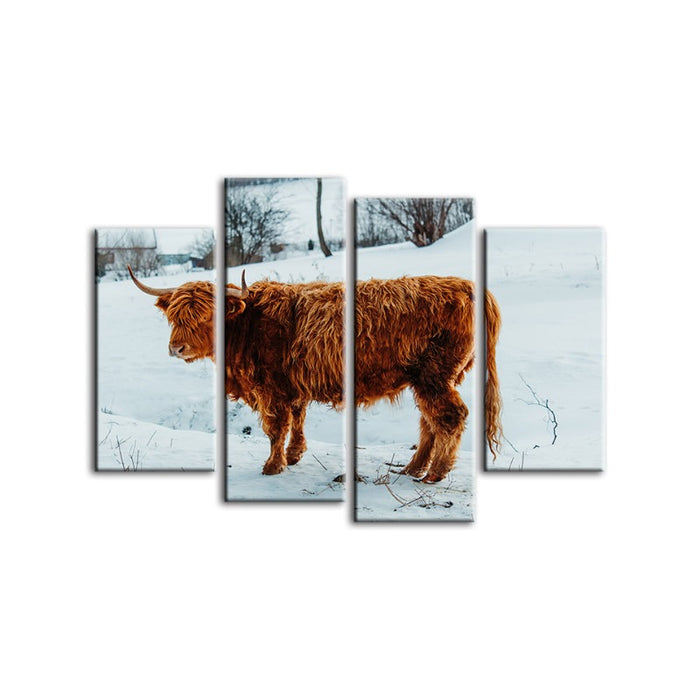 4 Piece Curly Haired Cow - Canvas Wall Art Painting