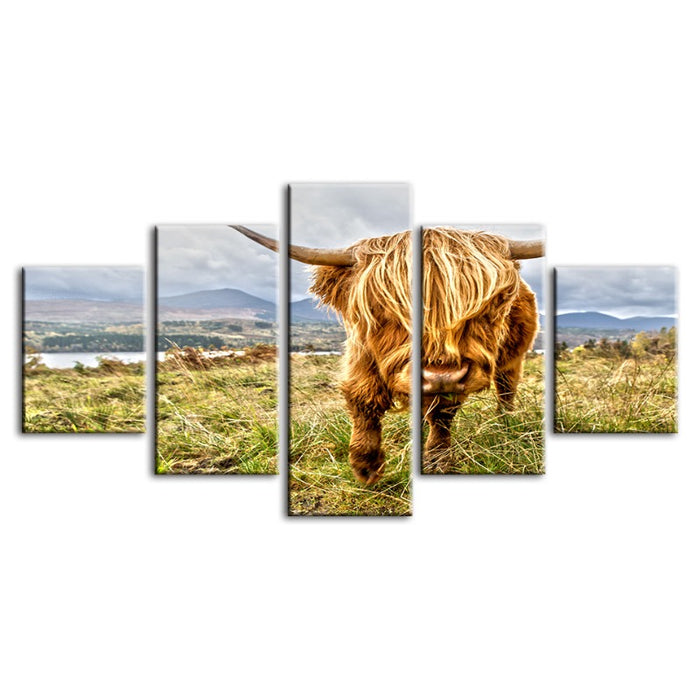 5 Piece Wild Cow - Canvas Wall Art Painting