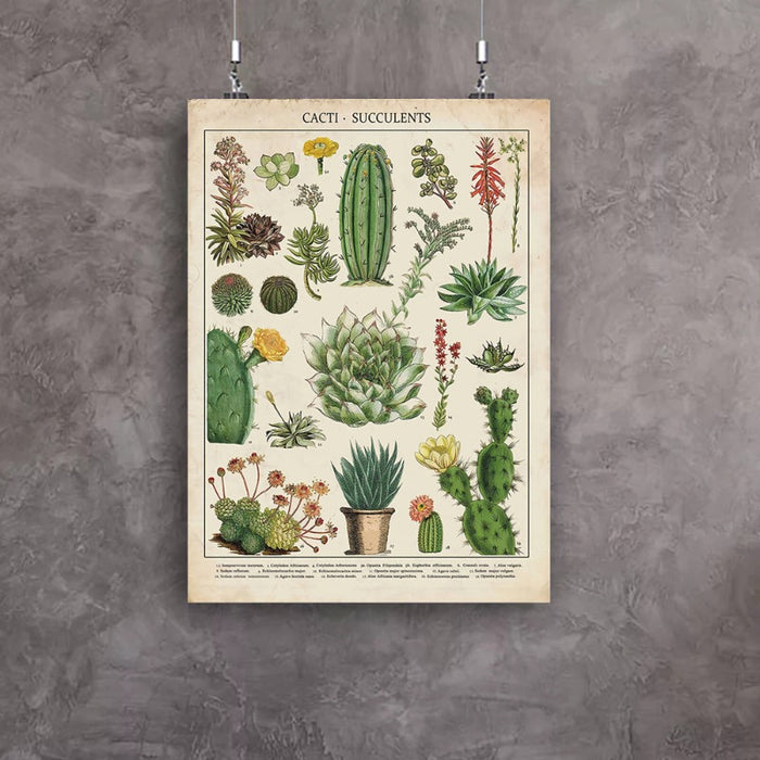 Cacti Plants - Canvas Wall Art Painting