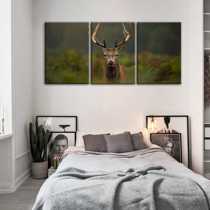Curios Deer Amongst Ferns-Canvas Wall Art Painting 3 Pieces