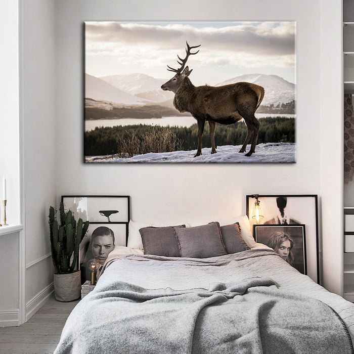 Somber Winter Deer - Canvas Wall Art Painting
