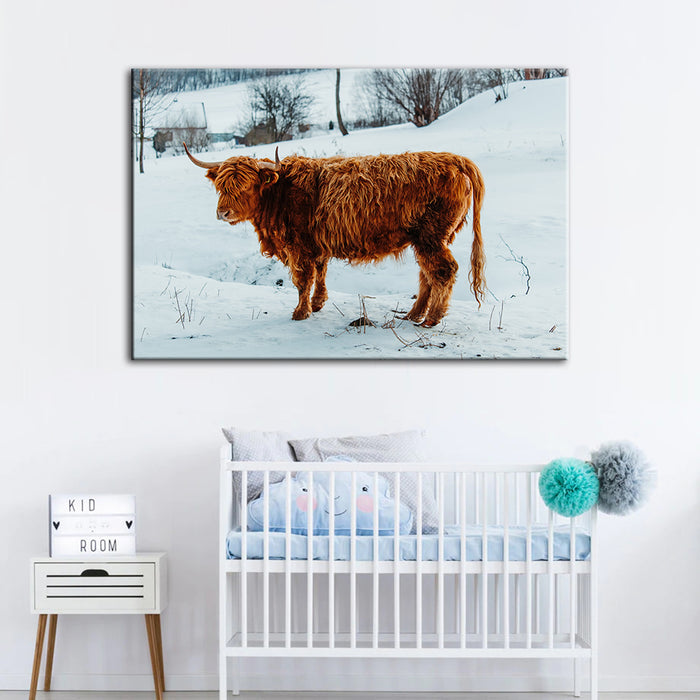 Curly Haired Cow - Canvas Wall Art Painting