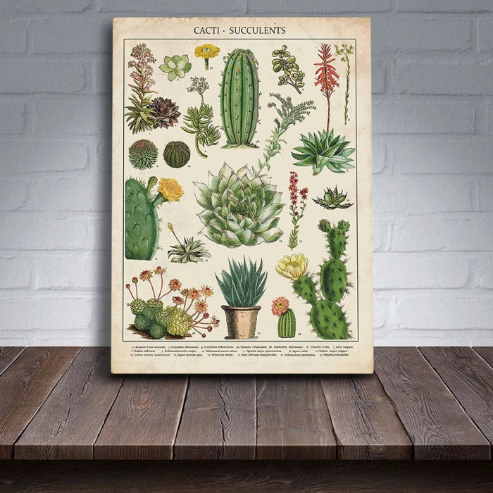 Cacti Plants - Canvas Wall Art Painting