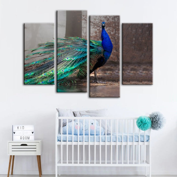 4 Piece Vivid Peacock by the Pond - Canvas Wall Art Painting