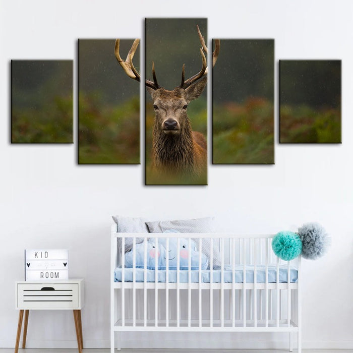 5 Piece Curios Deer Amongst Ferns - Canvas Wall Art Painting