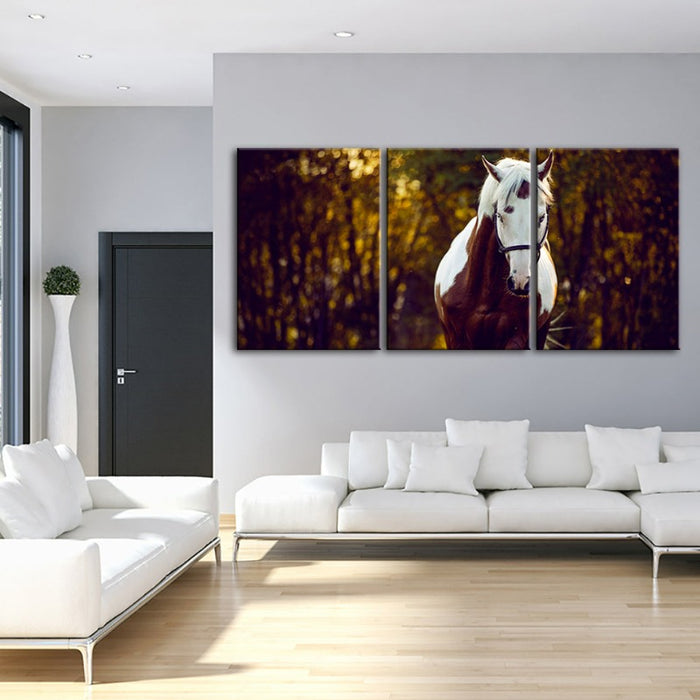 Courtly Overo Horse-Canvas Wall Art Painting 3 Pieces