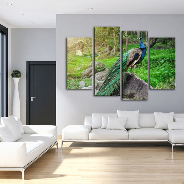 4 Piece Dignified Sunlit Peacock - Canvas Wall Art Painting