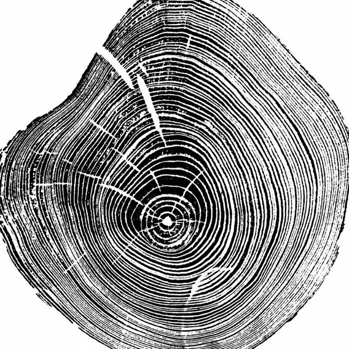 Tree Annual Rings Black and White - Canvas Wall Art Painting