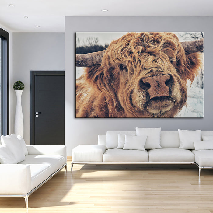 Close Up Brown Cow - Canvas Wall Art Painting