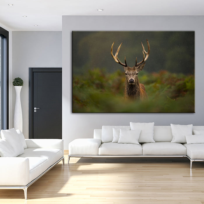 Curios Deer Amongst Ferns - Canvas Wall Art Painting