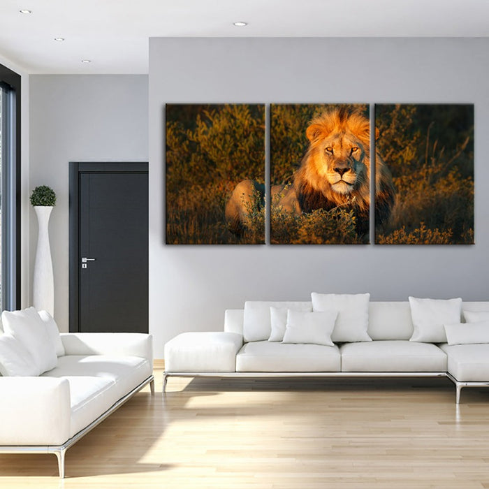 Divine Sunset Lion-Canvas Wall Art Painting 3 Pieces
