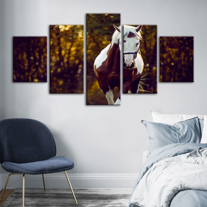 5 Piece Courtly Overo Horse - Canvas Wall Art Painting