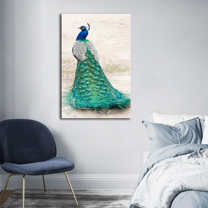 Skirted Elegant Peacock - Canvas Wall Art Painting