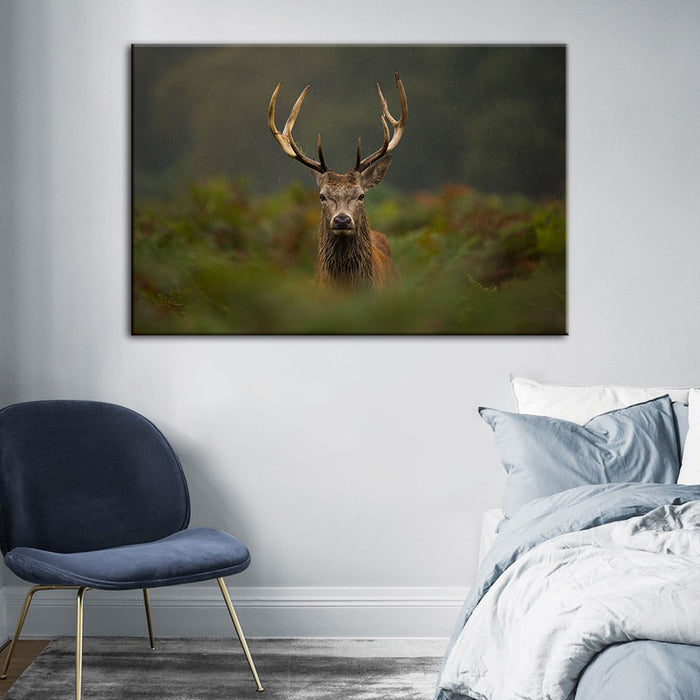 Curios Deer Amongst Ferns - Canvas Wall Art Painting