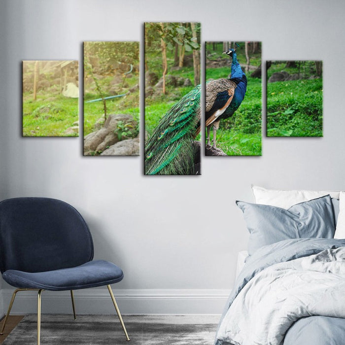 5 Piece Dignified Sunlit Peacock - Canvas Wall Art Painting