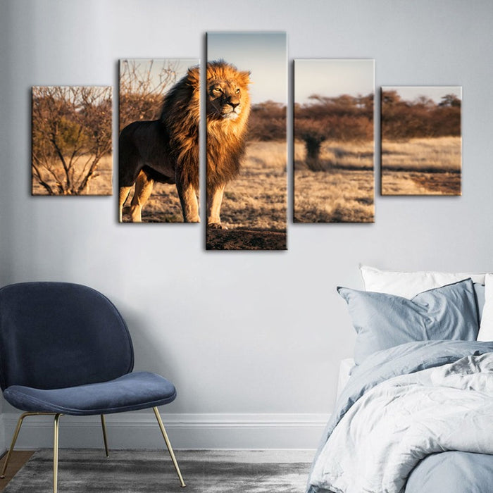 5 Piece Majestic Lion Bathed In Sunlight - Canvas Wall Art Paintings