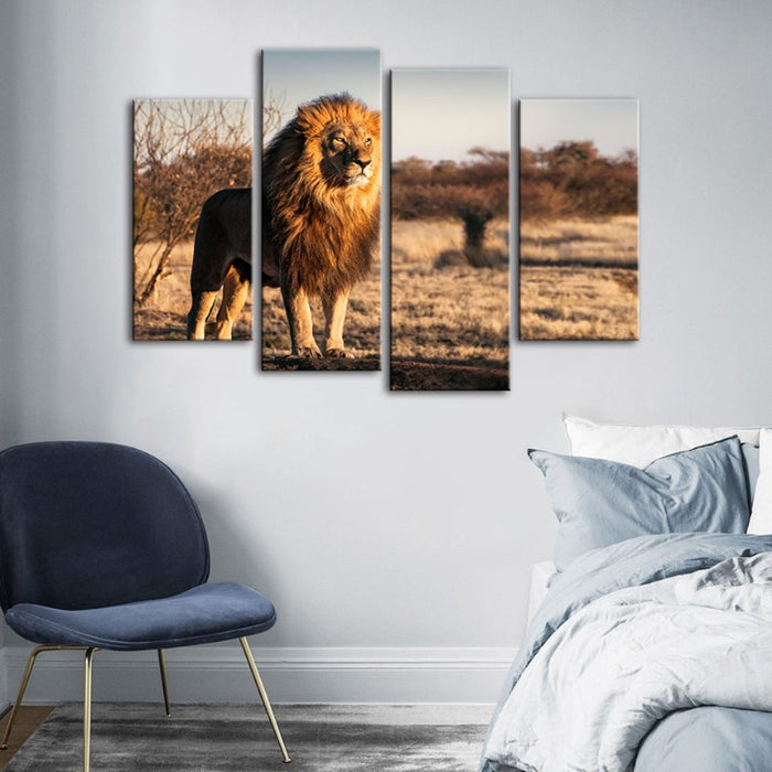 4 Piece Majestic Lion Bathed in Sunlight - Canvas Wall Art Painting