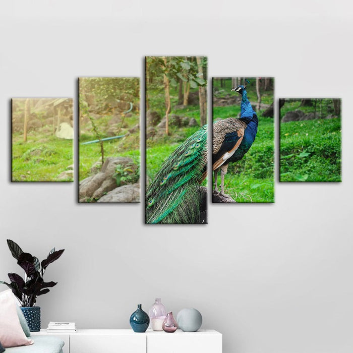 5 Piece Dignified Sunlit Peacock - Canvas Wall Art Painting