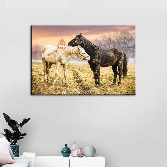 Black & White Horses - Canvas Wall Art Painting