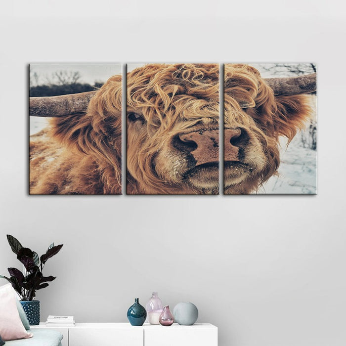 Close Up Brown Cow-Canvas Wall Art Painting 3 Pieces