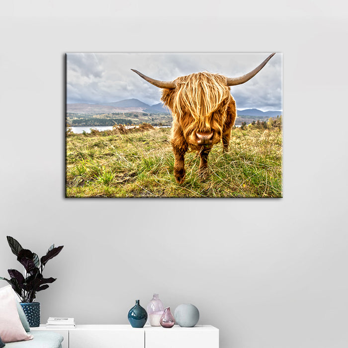 Cute Wild Cow - Canvas Wall Art Painting