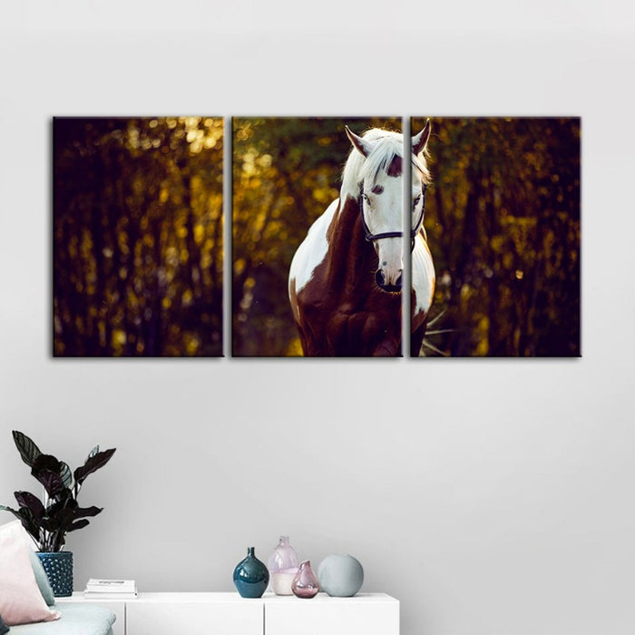 Courtly Overo Horse-Canvas Wall Art Painting 3 Pieces