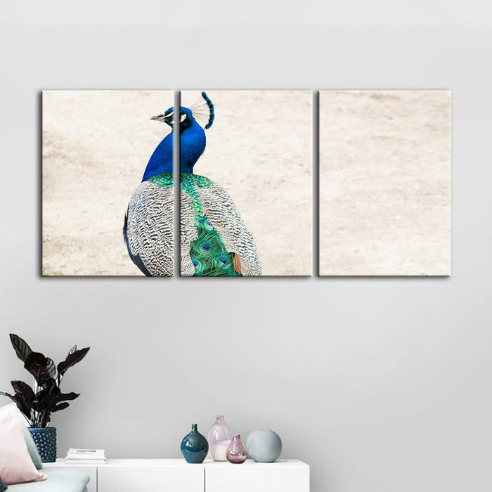 Skirted Elegant Peacock-Canvas Wall Art Painting 3 Pieces