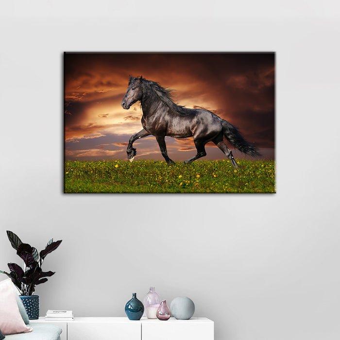 Running Black Horse - Canvas Wall Art Painting