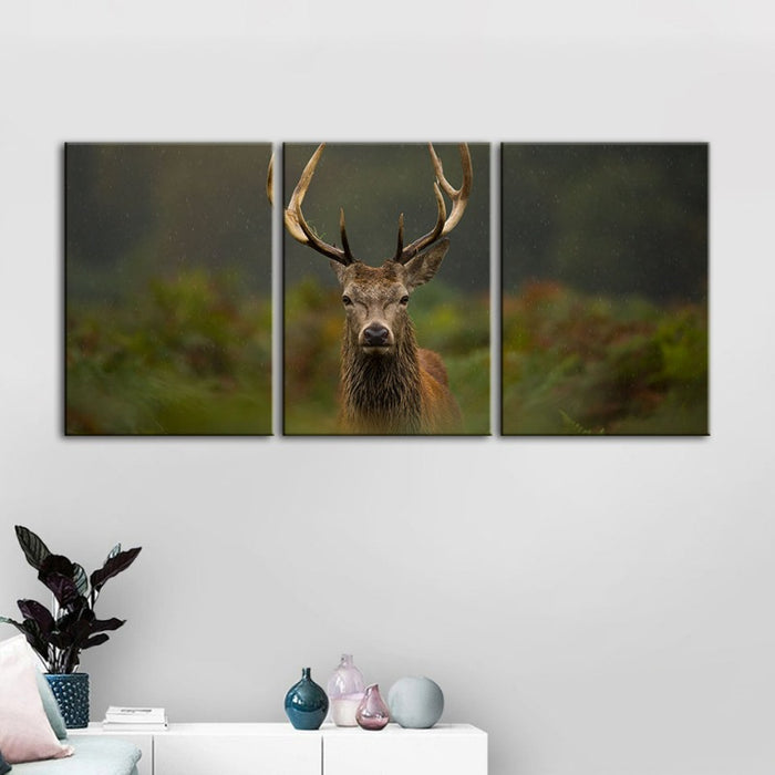 Curios Deer Amongst Ferns-Canvas Wall Art Painting 3 Pieces