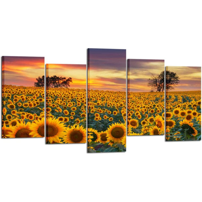 5 Piece Sunflower Farms Canvas Wall Art Painting