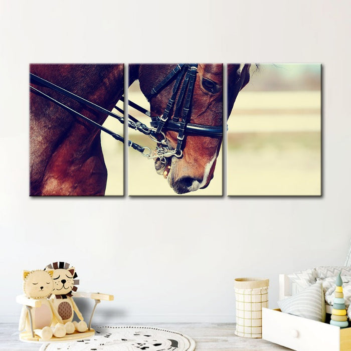 Graceful Haltered Horse-Canvas Wall Art Painting 3 Pieces