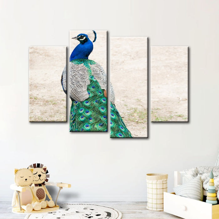 4 Piece Skirted Elegant Peacock - Canvas Wall Art Painting