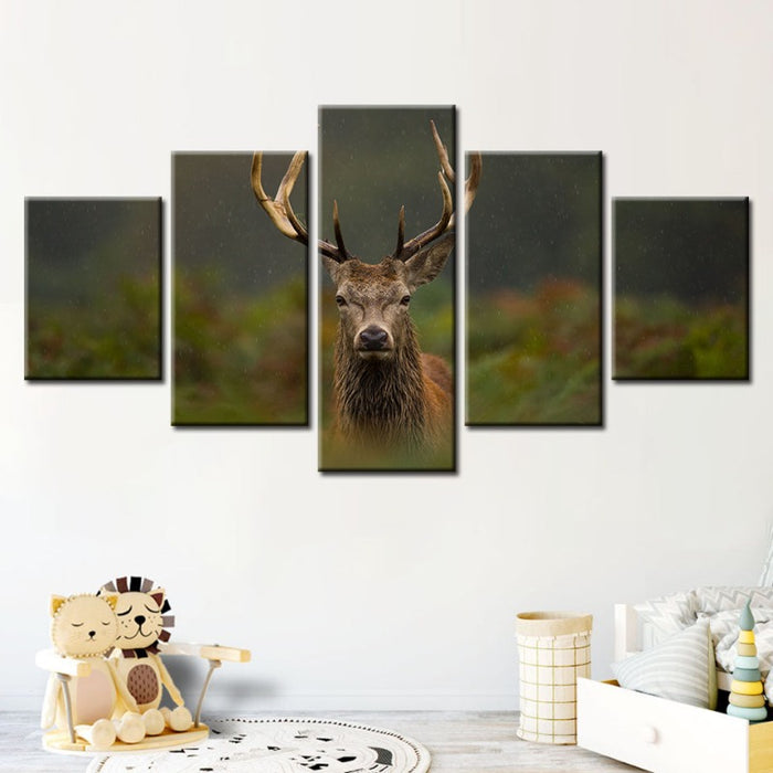 5 Piece Curios Deer Amongst Ferns - Canvas Wall Art Painting