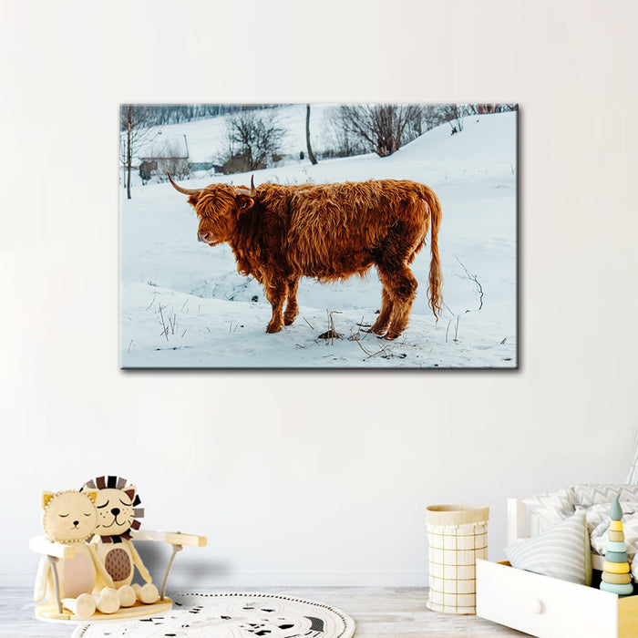 Curly Haired Cow - Canvas Wall Art Painting