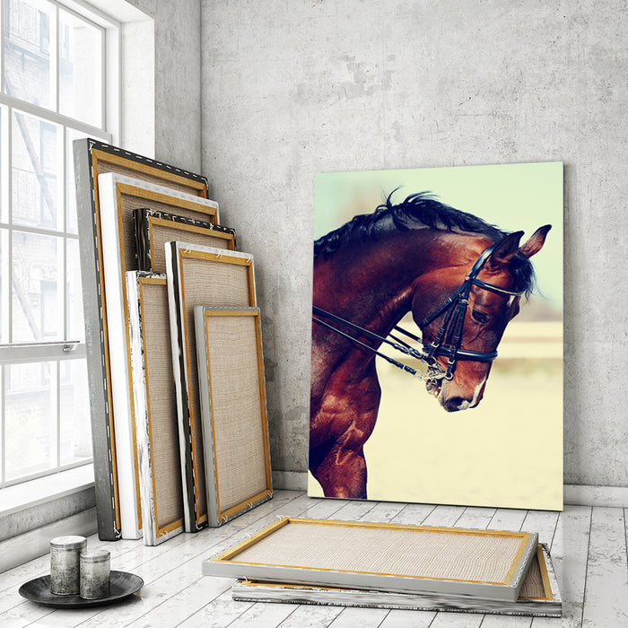 Graceful Haltered Horse - Canvas Wall Art Painting