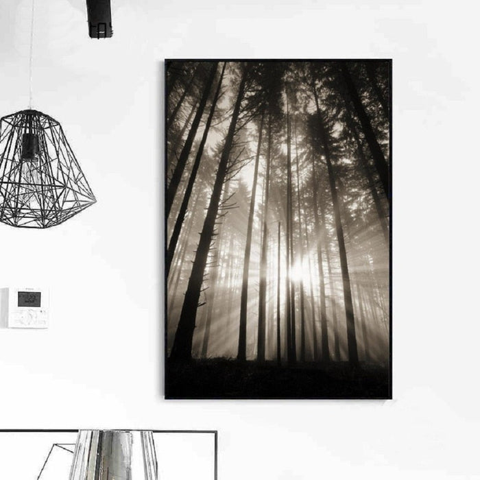 Forest Sunshine Scene  - Canvas Wall Art Painting