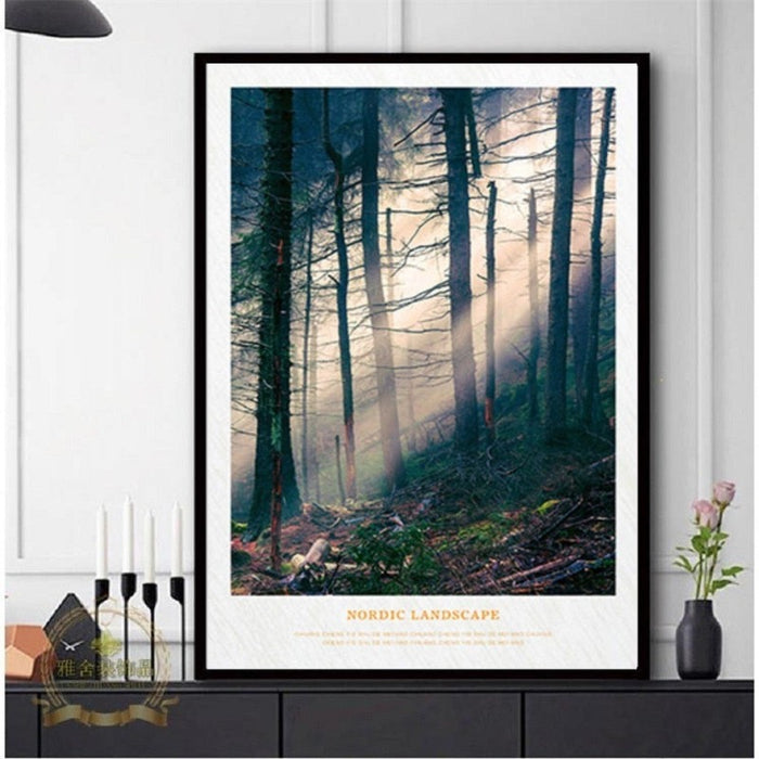 Nordic Scandinavia Natural Forest Sunshine Scene Printing